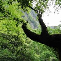 評論圖片 5