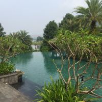 評論圖片 3