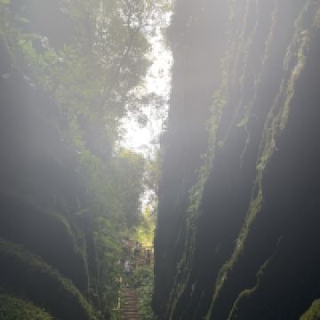 評論圖片 1
