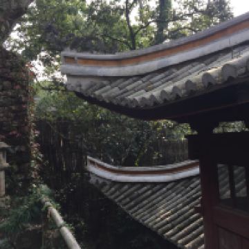 評論圖片 4