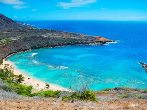 Best Snorkeling At Hanauma Bay