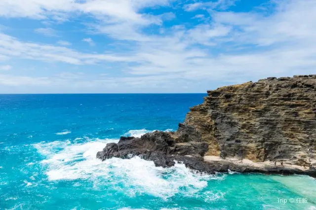 Best Snorkeling At Hanauma Bay