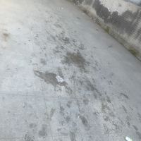 評論圖片 1