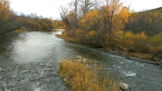 Kaluben Wetland Park