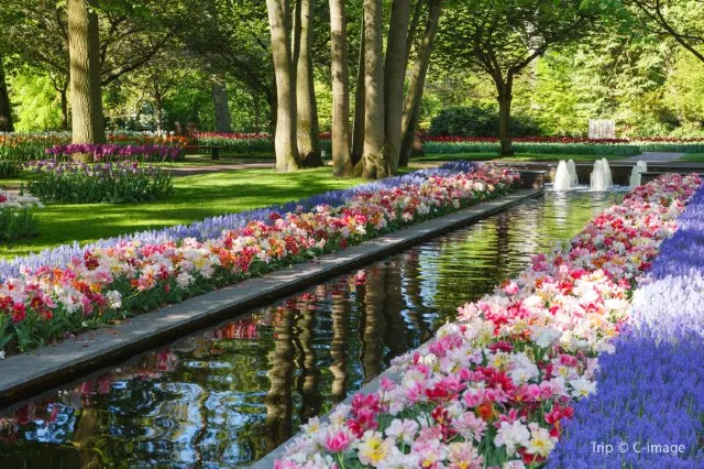 Art And History Lovers’ Must Have List in Amsterdam