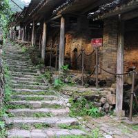 評論圖片 7