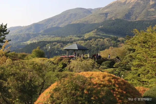 The 10-Best Things to See and Do in Hakone