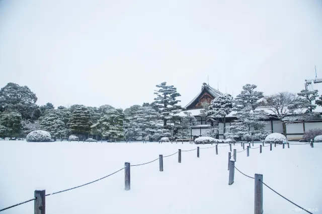 Nijo Castle: Complete guide to Nijo Castle Kyoto 2024