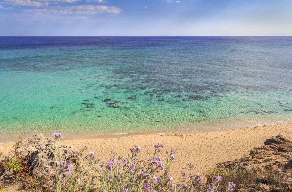 Little Bay Beach