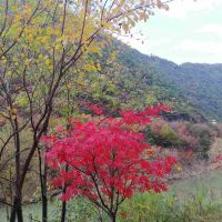 評論圖片 3