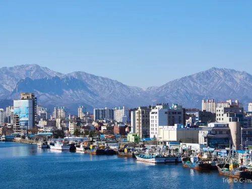 The Ultimate Guide to Sokcho-si You Need to Know