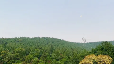 凌云烧鹅仔美食城(电厂店) in Huaibei