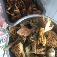 大龙湘潭食府 User Photo