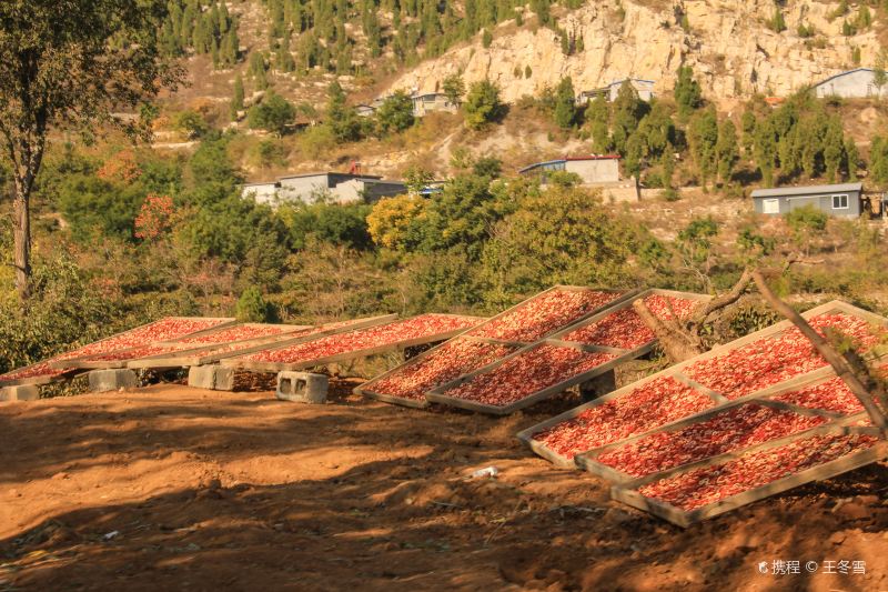 Jingtang Ancient Town