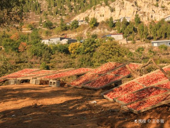 Jingtang Ancient Town