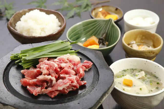 All Kinds of Horse Meat Dishes, the Full List of Cuisine in Kumamoto