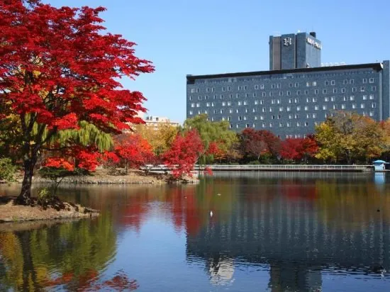 Go to Sapporo, and Stay in These Hotels