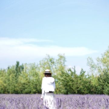評論圖片 6