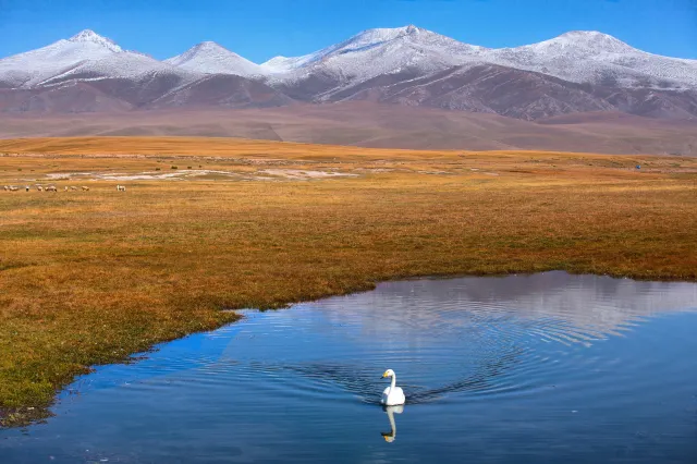 China’s 10 Most Beautiful Wetlands