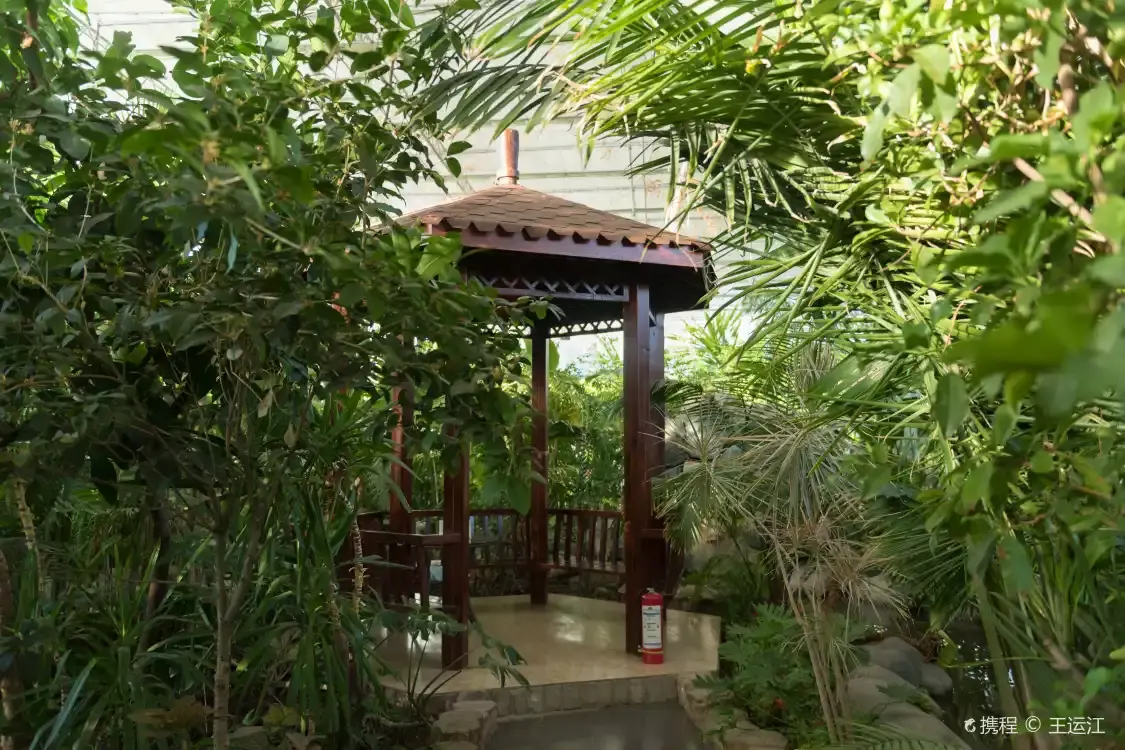 Hotels near Ecological Garden