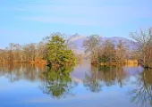 【北海道紅葉】10大北海道賞楓景點、時間懶人包 