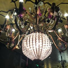 朴舍漫时光 User Photo