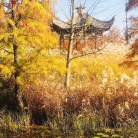 評論圖片 7