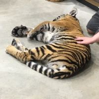 評論圖片 2
