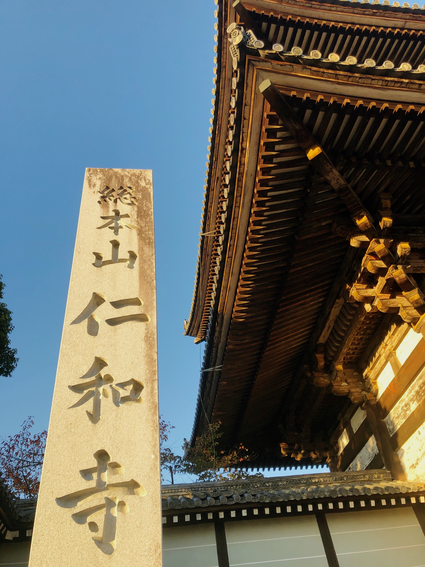 仁和寺旅遊攻略指南 仁和寺評價 仁和寺附近推薦 Trip Com