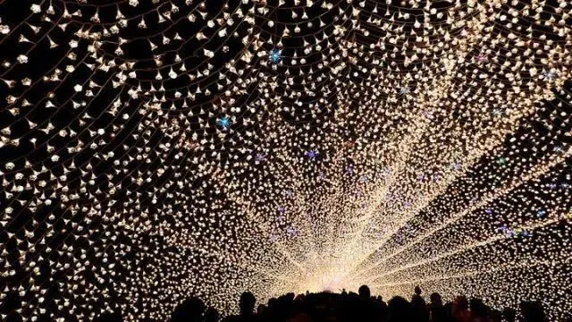 Winter Bucket List in Japan 2020: A Bright Color in Winter