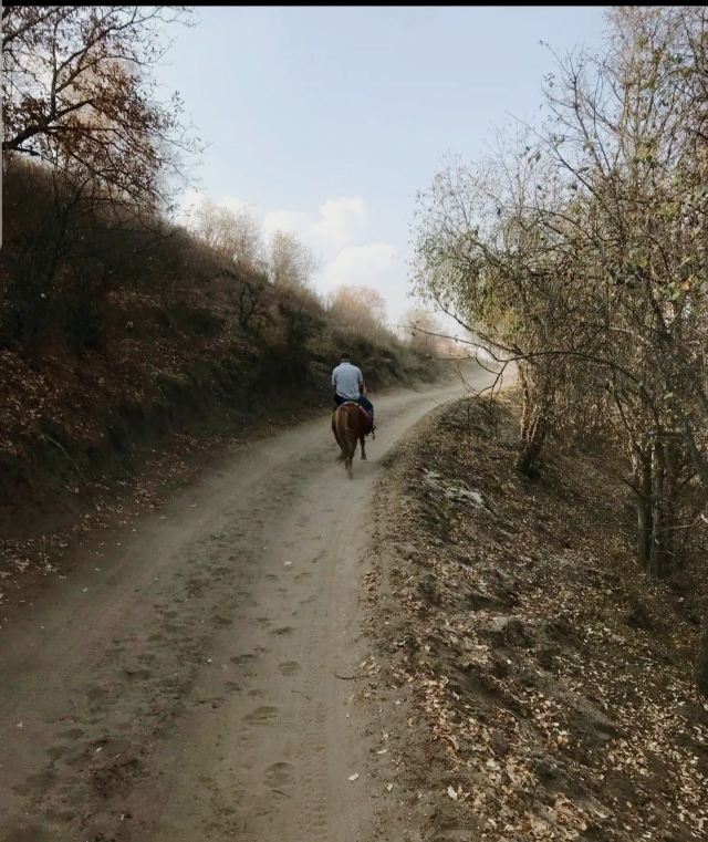 바상의 판룽협곡