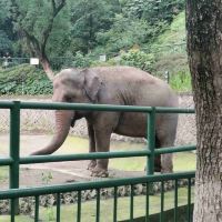 評論圖片 1