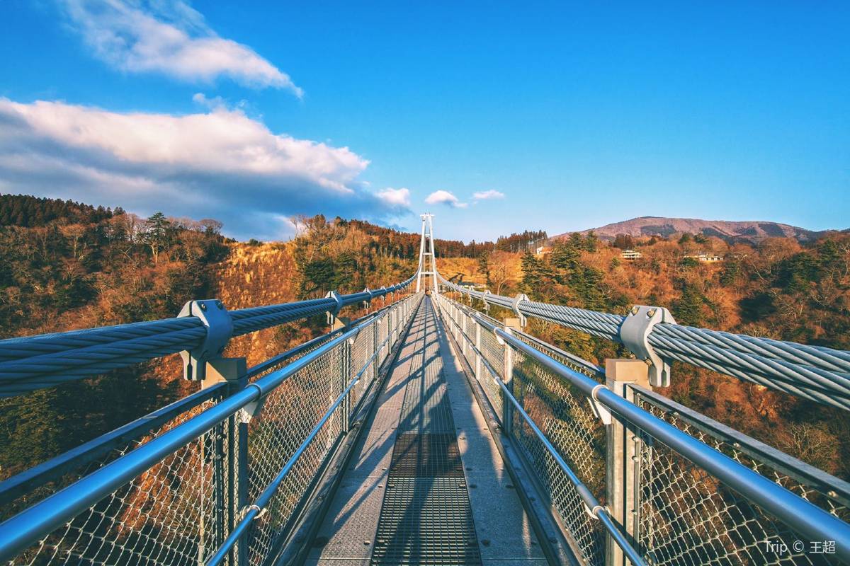 九重“夢”大吊橋