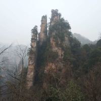 評論圖片 2