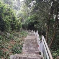 評論圖片 6