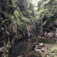評論圖片 8