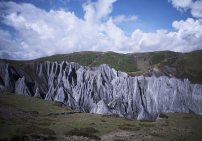 Bamei Metamorphic Stones Forest