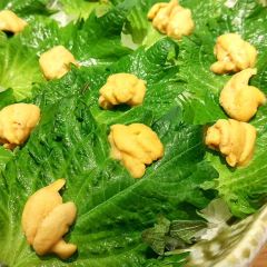 Tsukiji Sushisen User Photo