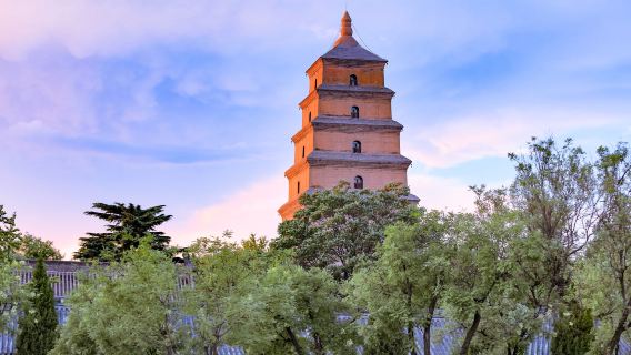 Private Xi'an Tour :Big Wild Goose Pagoda, City Wall, Hanyangling Tomb