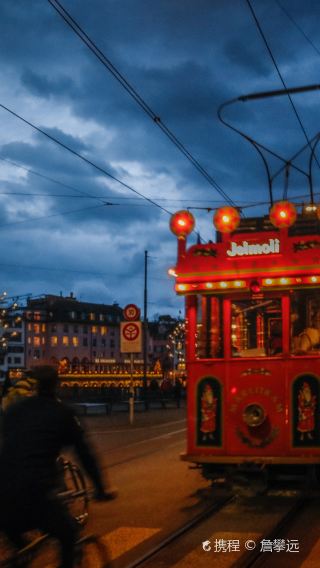 Rhine Falls in Schaffhausen + Zurich day tour [Itinerary adjustment|Chinese-speaking driver and guide