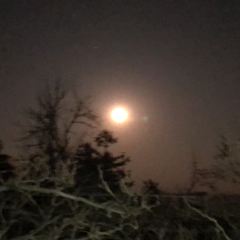 佛来山庄 User Photo