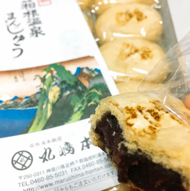 【東京近郊】箱根景點及美食推薦,情侶旅行必去!
