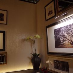 Saneh Jaan User Photo
