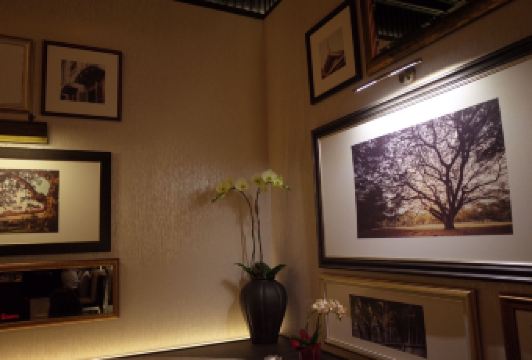 Saneh Jaan用戶圖片