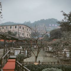 鲜龙井火锅公园(南山店) User Photo