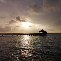 Kelong Seafood Restaurant Nirwana Gardens User Photo