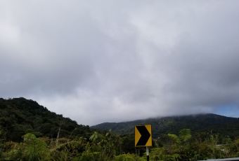 Jim Thompson's Tea Room at Bala's User Photo