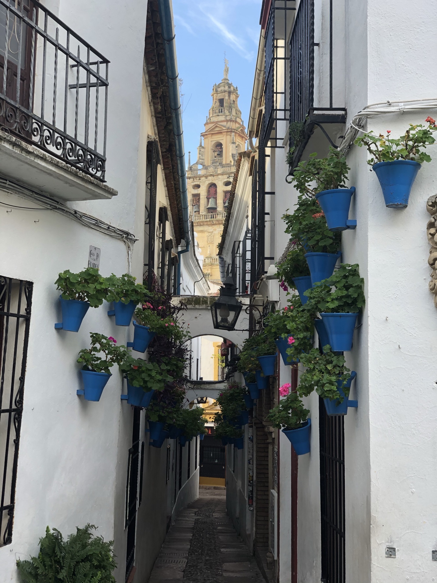 Calleja de las Flores attraction reviews - Calleja de las Flores tickets -  Calleja de las Flores discounts - Calleja de las Flores transportation,  address, opening hours - attractions, hotels, and food