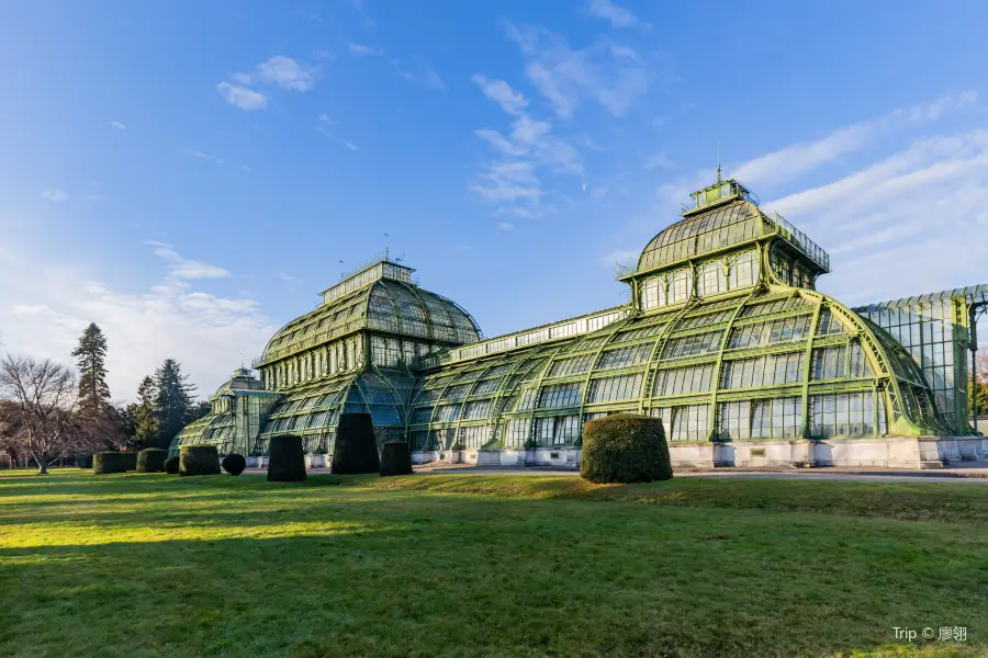 Großes Palmenhaus Schönbrunn