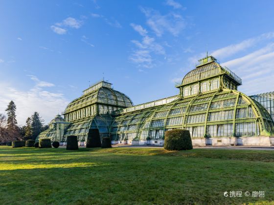 Palm House